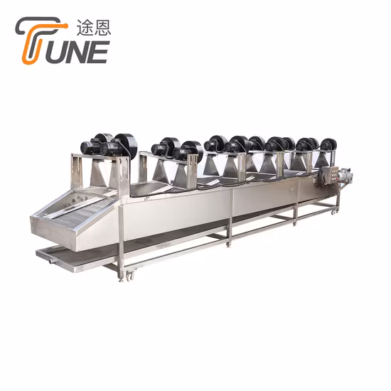 Fruit and Vegetable Bubble Washing Machine/Processing Equipment/Rinsing Machine